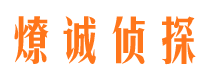 青云谱侦探